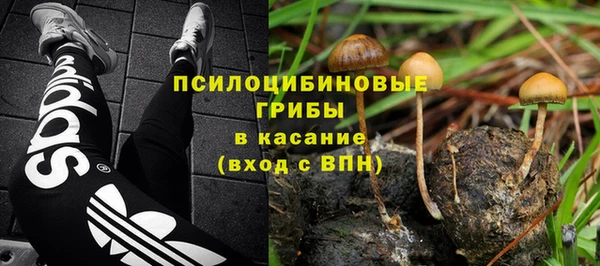 каннабис Алзамай